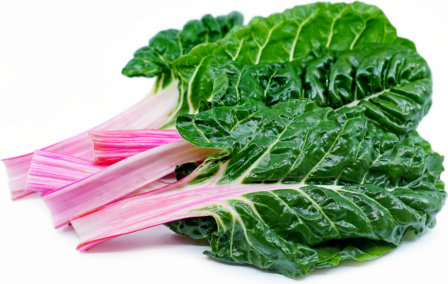 Peppermint Swiss Chard picture
