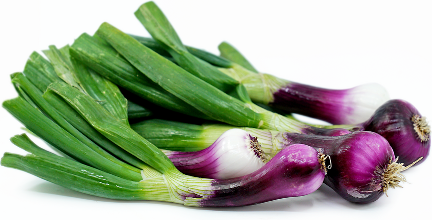 Red Spring Onions picture