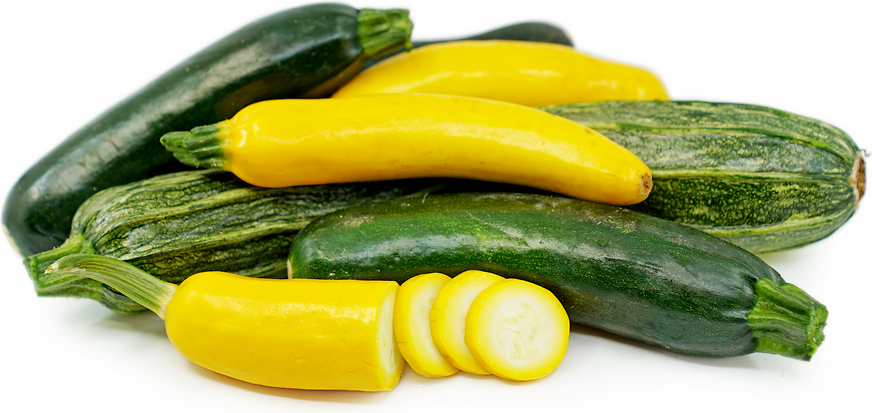 Mixed Summer Squash picture