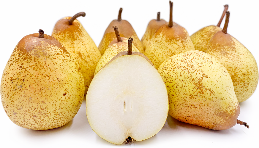 Rocha Pears picture