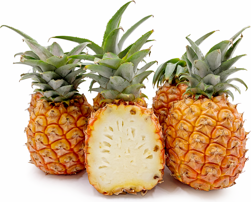 Okinawan Baby Pineapple picture