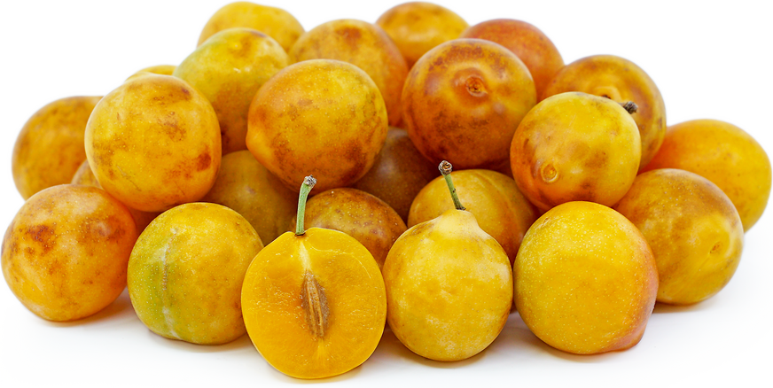 American Mirabelle Plum picture