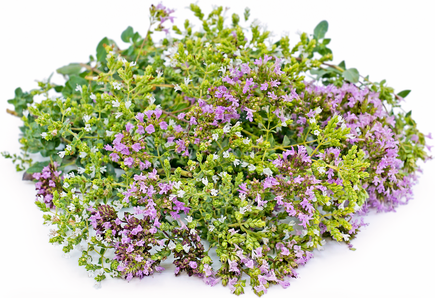 Oregano Flowers picture