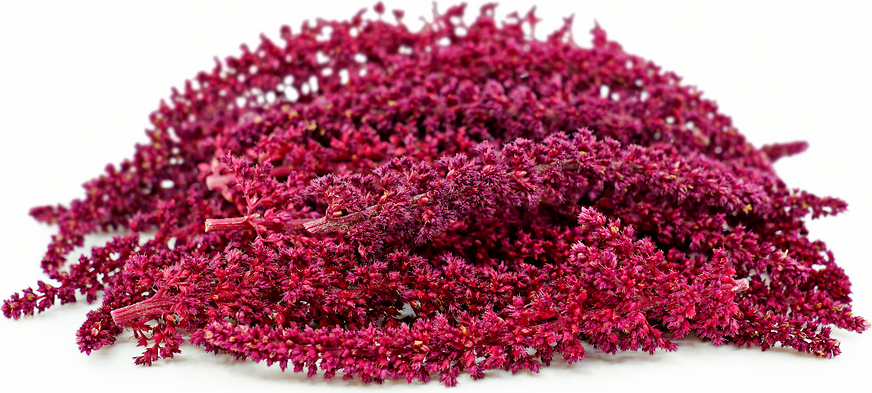Burgundy Tassel Amaranth Flowers picture