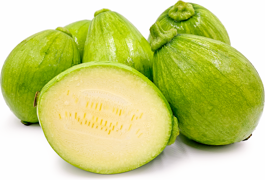 Mexican Squash picture