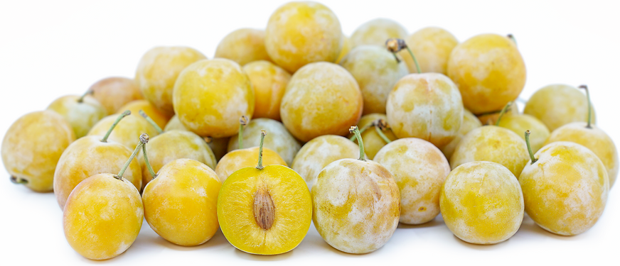 Mirabelle de Nancy Plums picture