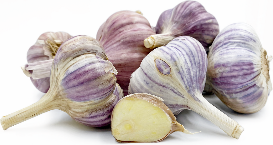 Sofievsky Garlic picture