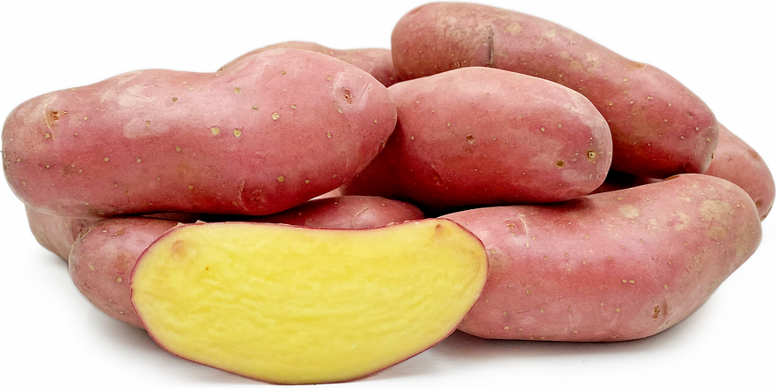 Roseval  Potatoes picture