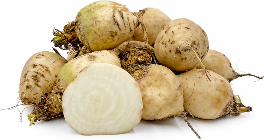 White Beets picture