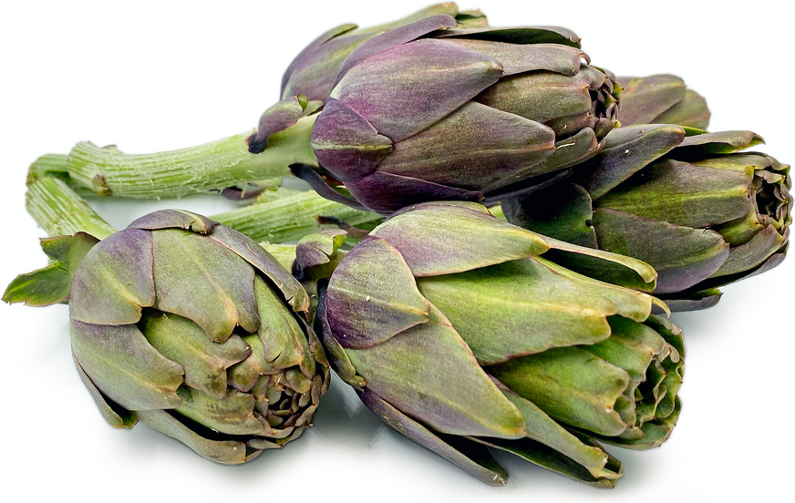 Baby Violet Artichokes picture