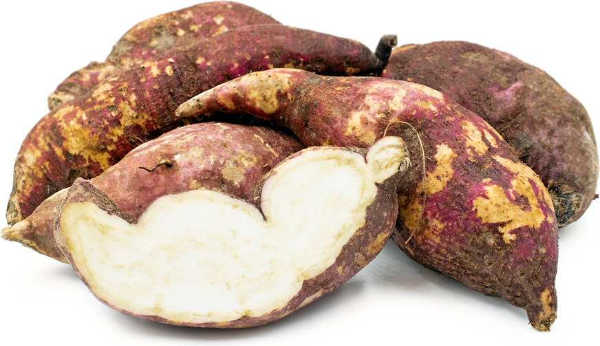 Boniato Sweet Potatoes picture