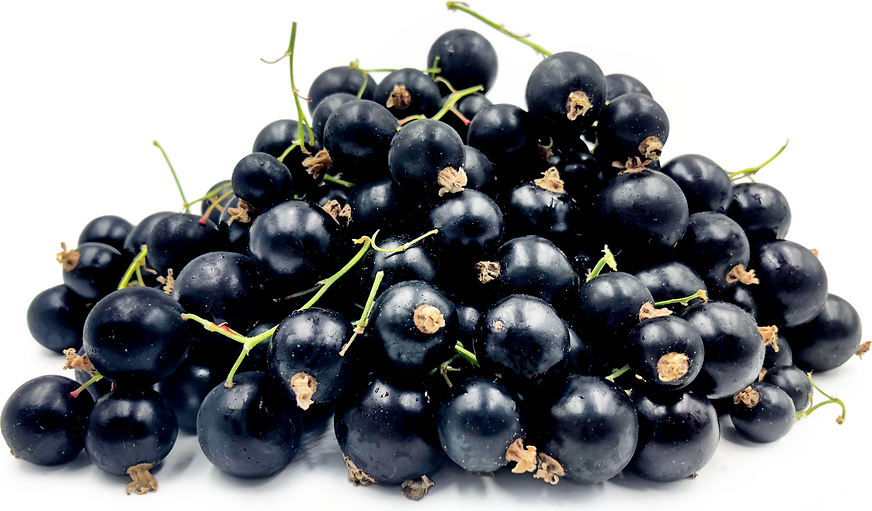 Black Currant Berries picture