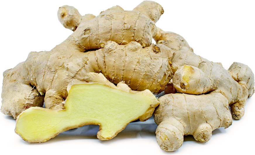 Ginger Root picture
