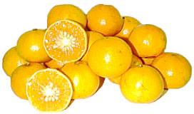 tangerine florida tangerine florida