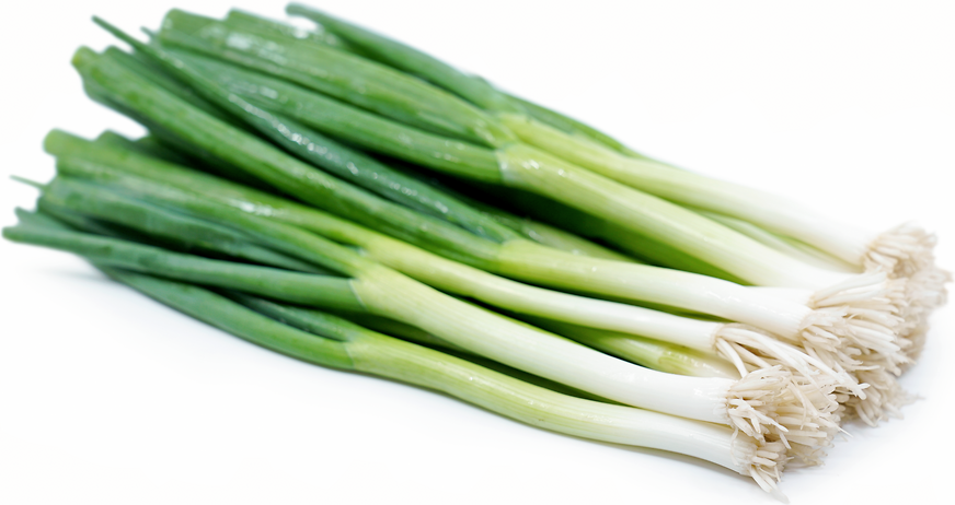 Green Onions picture