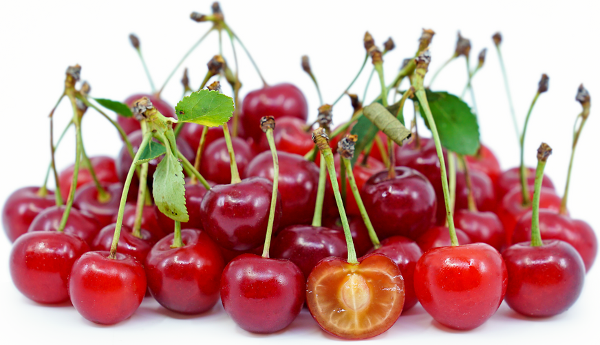 Sour Cherries picture