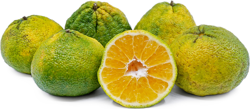 UGLI® Fruit picture