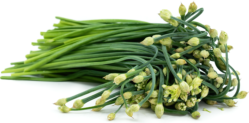 Garlic Chive Buds picture