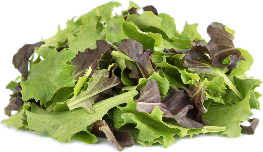 artisan mix lettuce