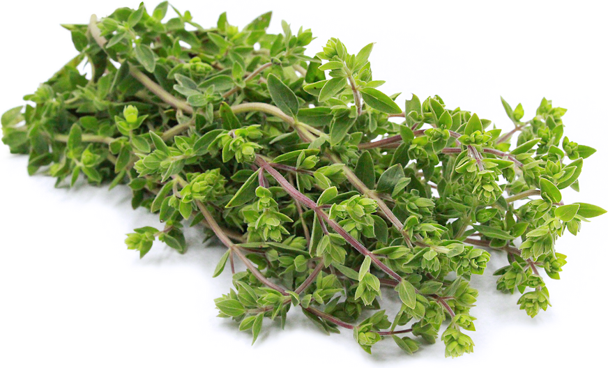 Image result for Marjoram herb