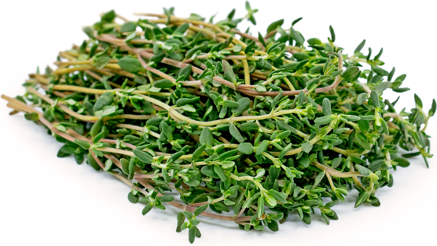 Thyme picture