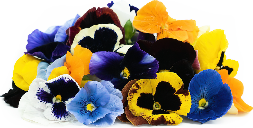 Pansy Flowers picture