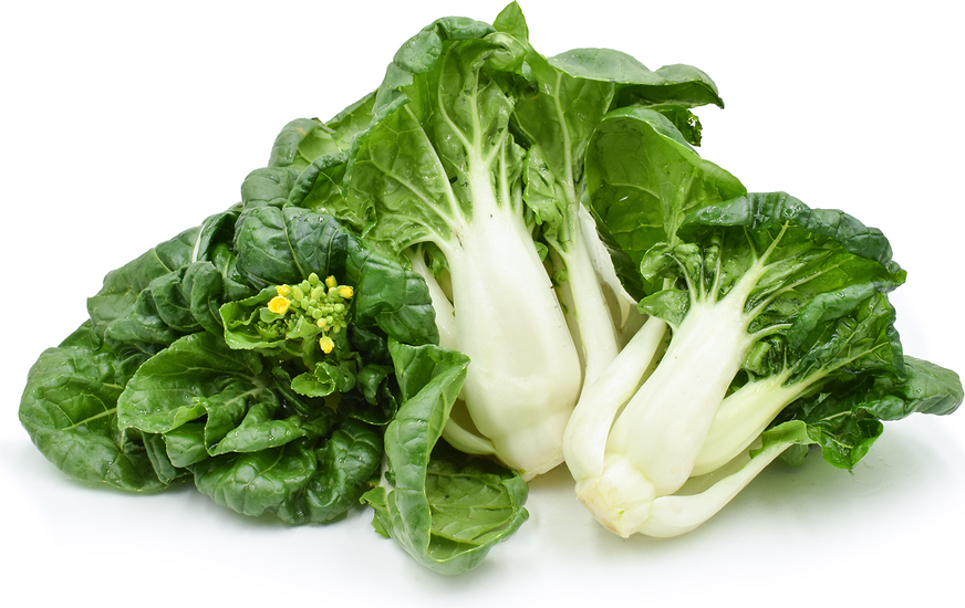 Baby White Choi Sum Cabbage picture