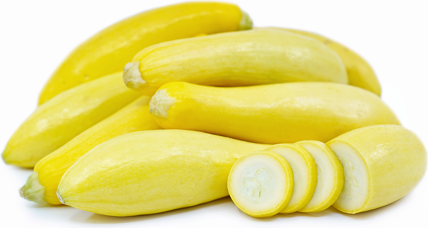 Baby Yellow Crookneck Squash picture