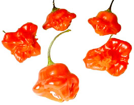 Capanelli Chile Peppers picture