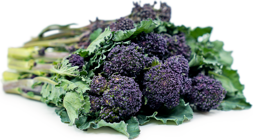 Purple Broccoli picture