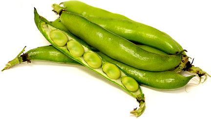 Fava Beans picture