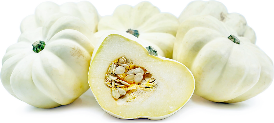 FM Squash Acorn White - Windrose Farm picture