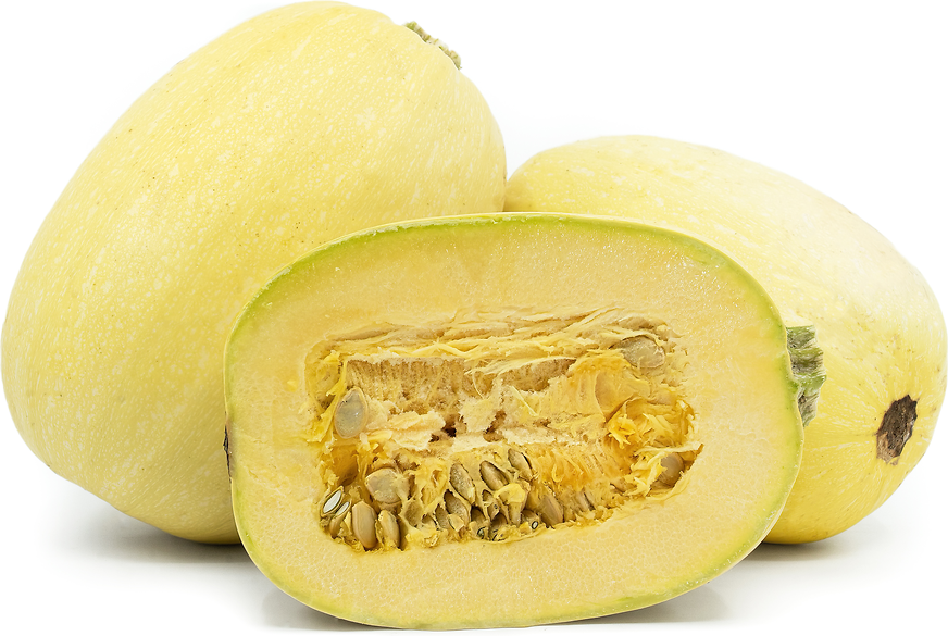 Spaghetti Squash picture