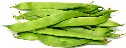 Romano Beans picture