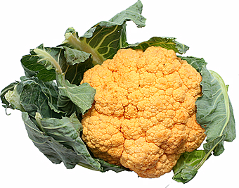 Orange Cauliflower picture
