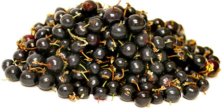 Black Currants picture