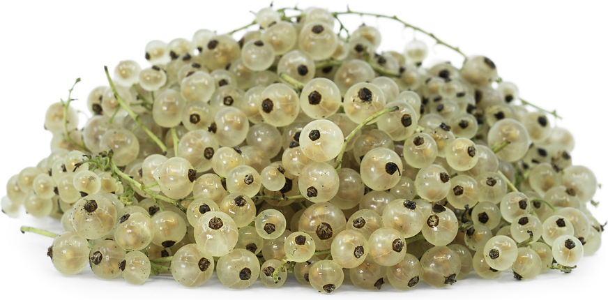 White Currant Berries picture