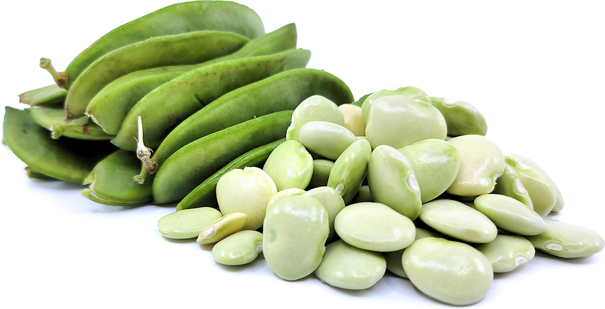 Lima Shelling Beans picture