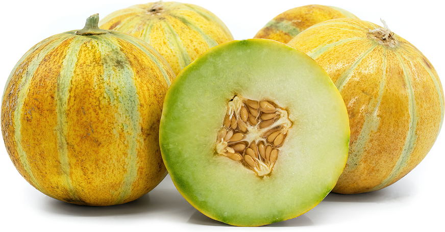 Ogen Melon picture