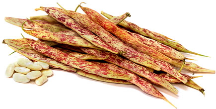 Persian Shelling Beans picture