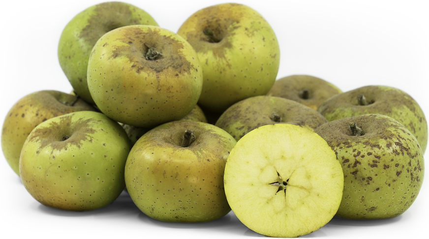 Ashmead's Kernel Apples picture