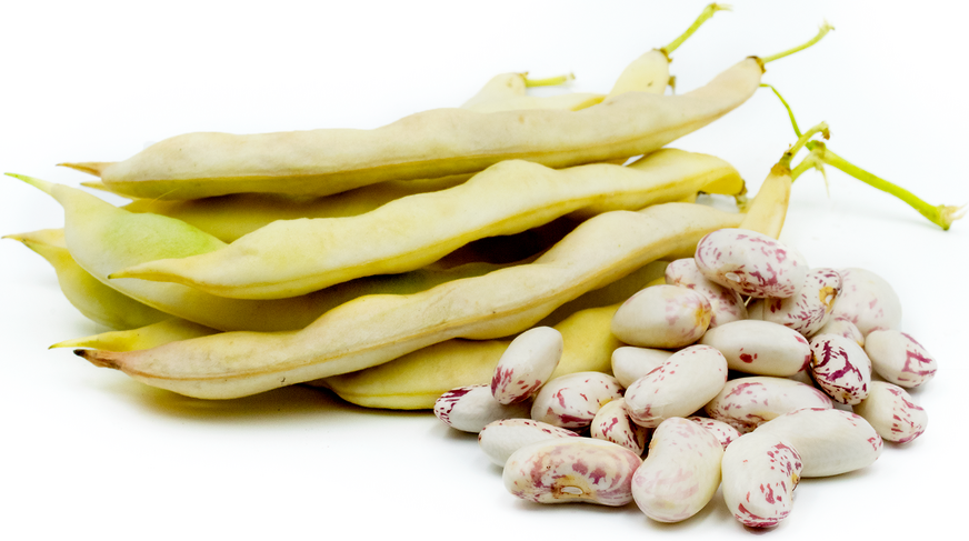 White Cap Shelling Beans picture