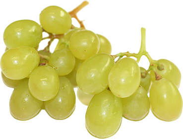 White Seedless Muscat Grapes picture