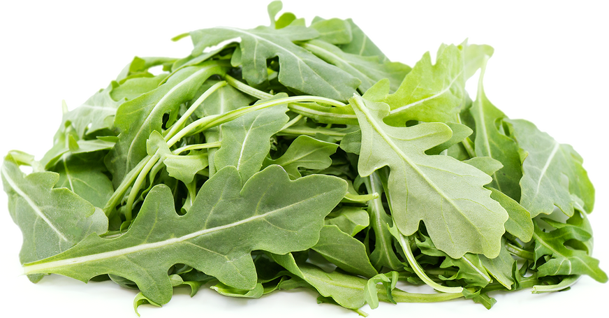 Wild Arugula picture