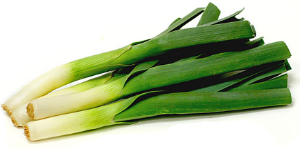 Leek picture