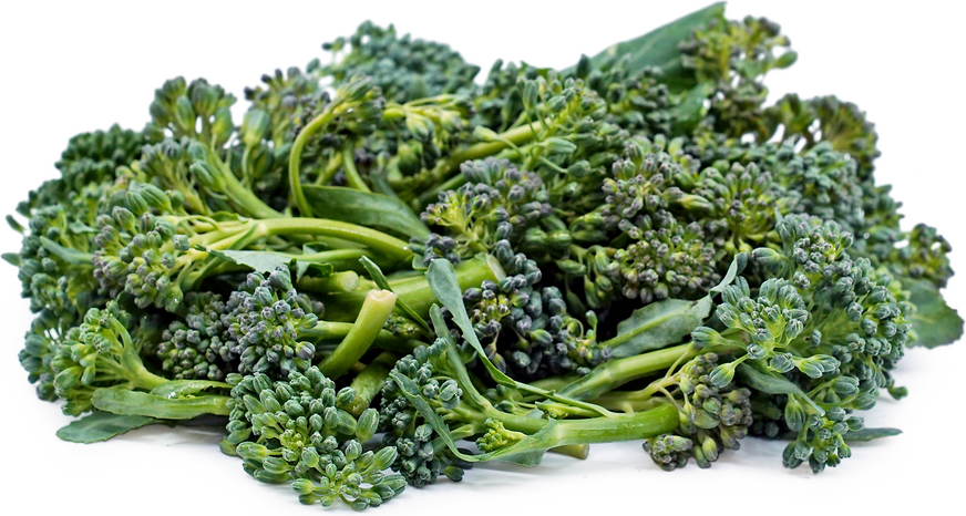 Broccoli Sprouts Купить