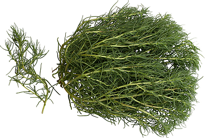 Italian Agretti picture