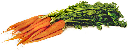 Baby Bunch Carrots picture