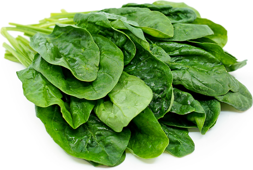 Organic Bunch Spinach picture