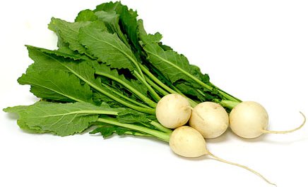 Baby Turnips Information and Facts